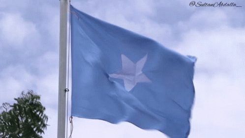 Flag Of Somalia Waving GIF