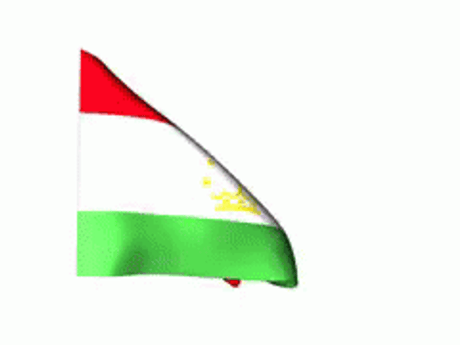 Flag Of Tajikistan GIF
