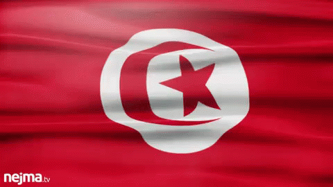 Flag Of Tunisia GIF