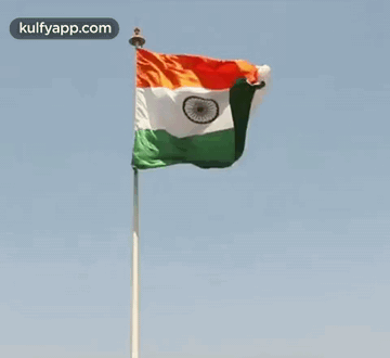 Flag Waving GIF