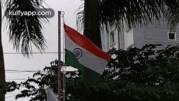 Flag Waving In Front Of Building And Palm Trees GIF
