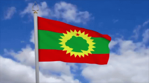 Flag Waving In Wind GIF