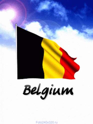 Flag With Belgium