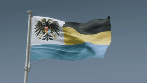 Flag With Black Eagle Flying GIF