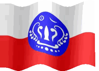 Flag with Blue Face in Circle