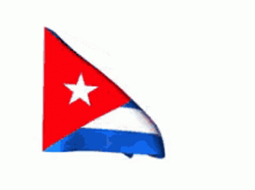 Flag With Blue White Red And Star GIF