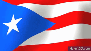 Flag With Blue White Red And White Star GIF