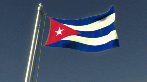 Flag With Blue White Red And White Star GIF