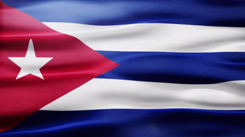 Flag With Blue White Red And White Star GIF