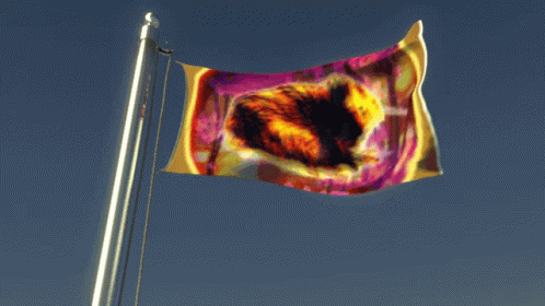 Flag With Cat Waving in Wind