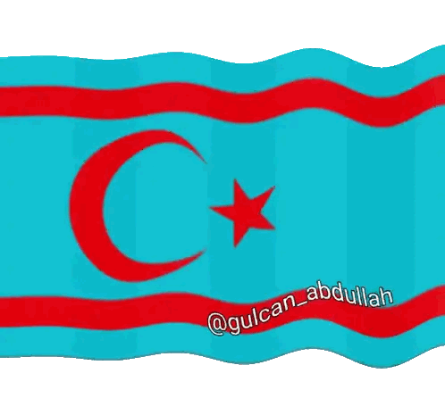 Flag with Crescent Moon and Star