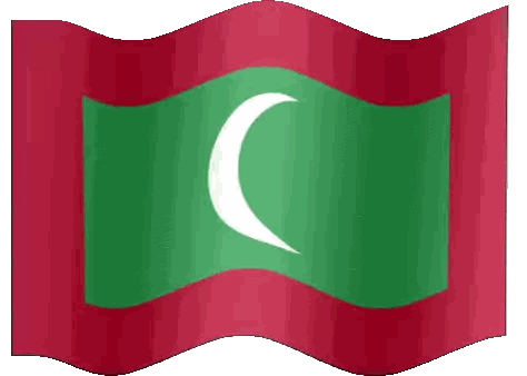 Flag with Green Red and White Crescent