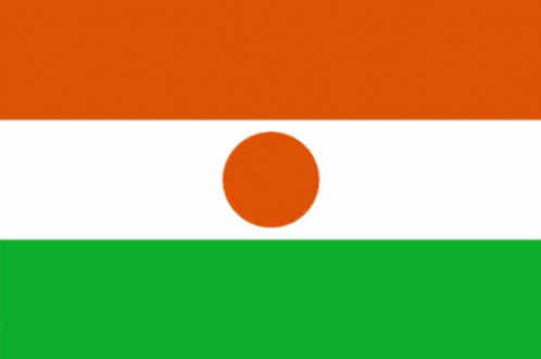 Flag with Green White Orange and White Circle