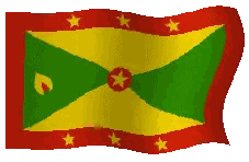 Flag with Green Yellow Red Stripes and Star