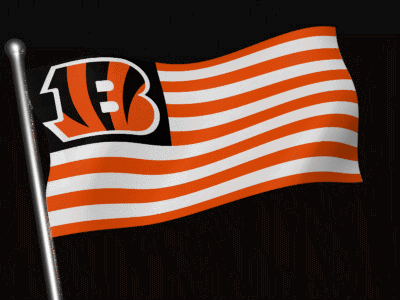 Flag With Letter B Waving GIF
