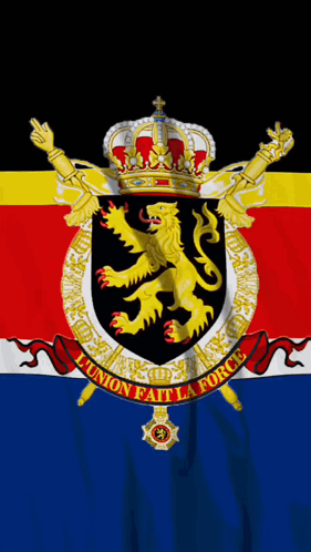 Flag with Lion and union fait la force