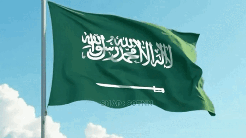 Flag With Man on Horse Holding Sword