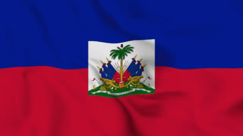 Flag with Palm Tree