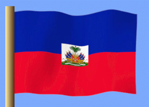 Flag with Palm Tree in Red and Blue
