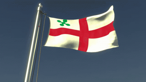 Flag with Red White Green and Green Cross