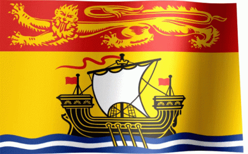 Flag With Ship And Dragon GIF