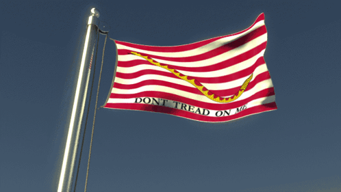 Flag With Snake Saying Don't Tread on Me
