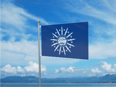 Flag with Sun and Stars
