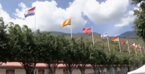Flags Flying in Front of Building