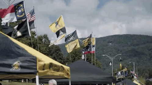 Flags Flying Including Virginia