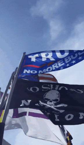 Flags Saying No More Bull Flying in Wind