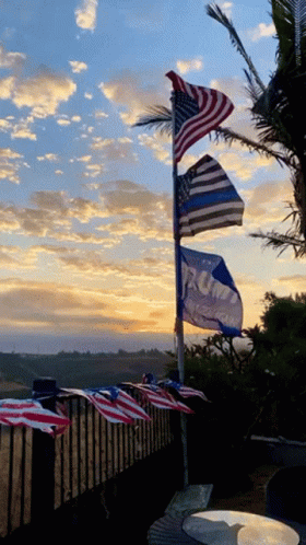 Flags With Trump Flying in Wind