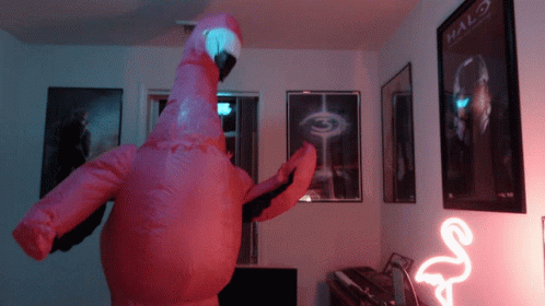 Flamingo Air Costume GIF