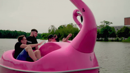 Flamingo Boats GIF