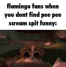 Flamingo Fans Not Finding Pee Pee Scream Funny