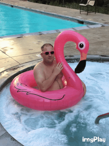 Flamingo Floaters GIF