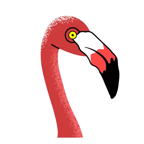Flamingo with Yellow Eye and Long Neck