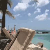 Flamingos Beach Gif GIF