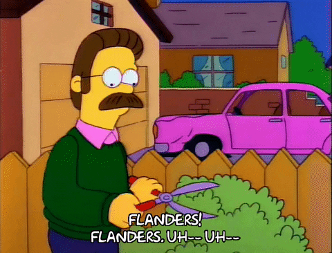 Flanders Flanders Trimming The Bush GIF