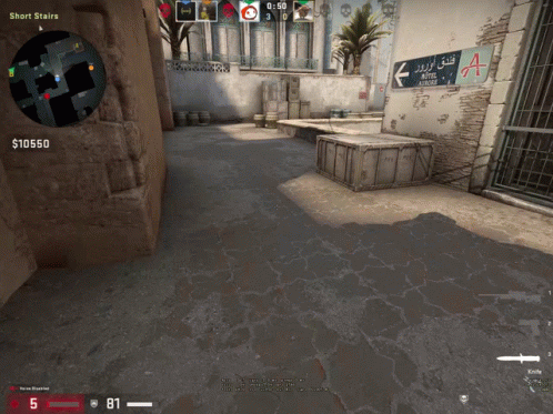 Flashbang During Counter Strike Game GIF