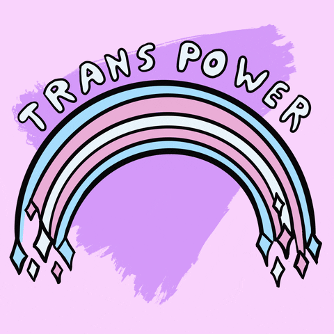 Flashed Rainbow Trans Power GIF