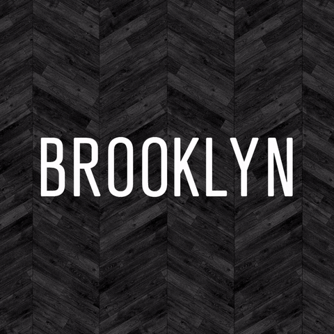 Flashing Brooklyn Nets Logo Text Design GIF