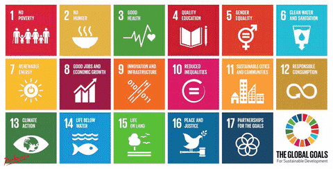 Flashing Nwo Icons What's Your Problem GIF