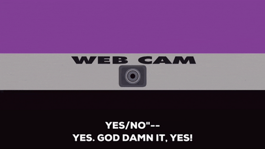 Flashing Webcam Animation GIF