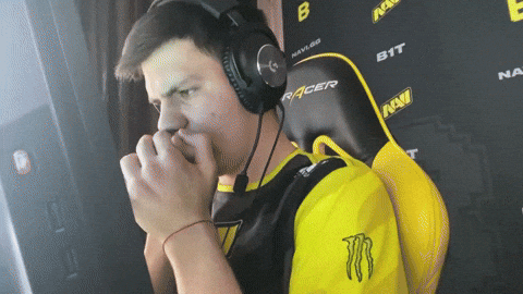 Flawless Victory Natus Vincere Winning Moments GIF