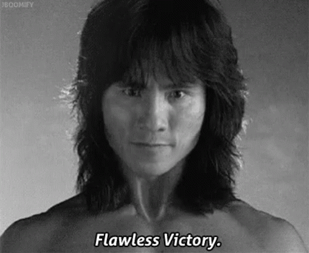 Flawless Victory GIF