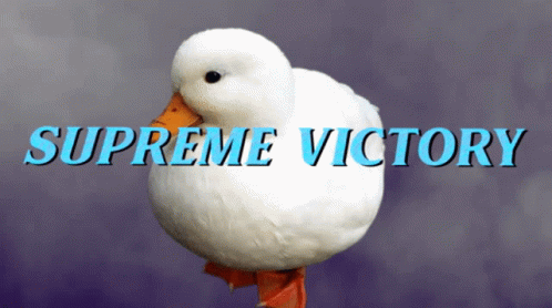 Flawless Victory Supreme Victory Duck Win GIF