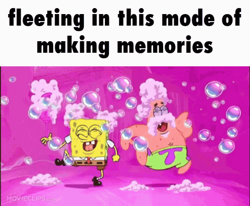 Fleeting Mode Of Making Memories GIF
