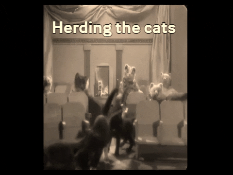 Fleischer Studios Vintage Theater Herding The Cats GIF