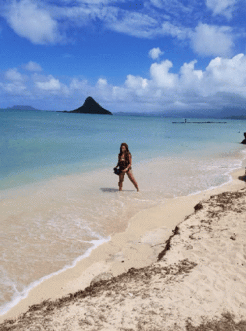 Aesthetic Wallpaper Beach Gif At Robin Clark Blog Aesthetic Wallpaper Beach Gif At Robin Clark Blog