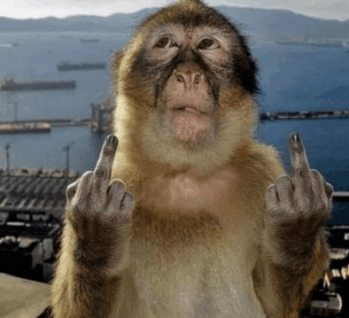 Flip Off Middle Finger Meme GIF